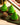 Mini Christmas Tree